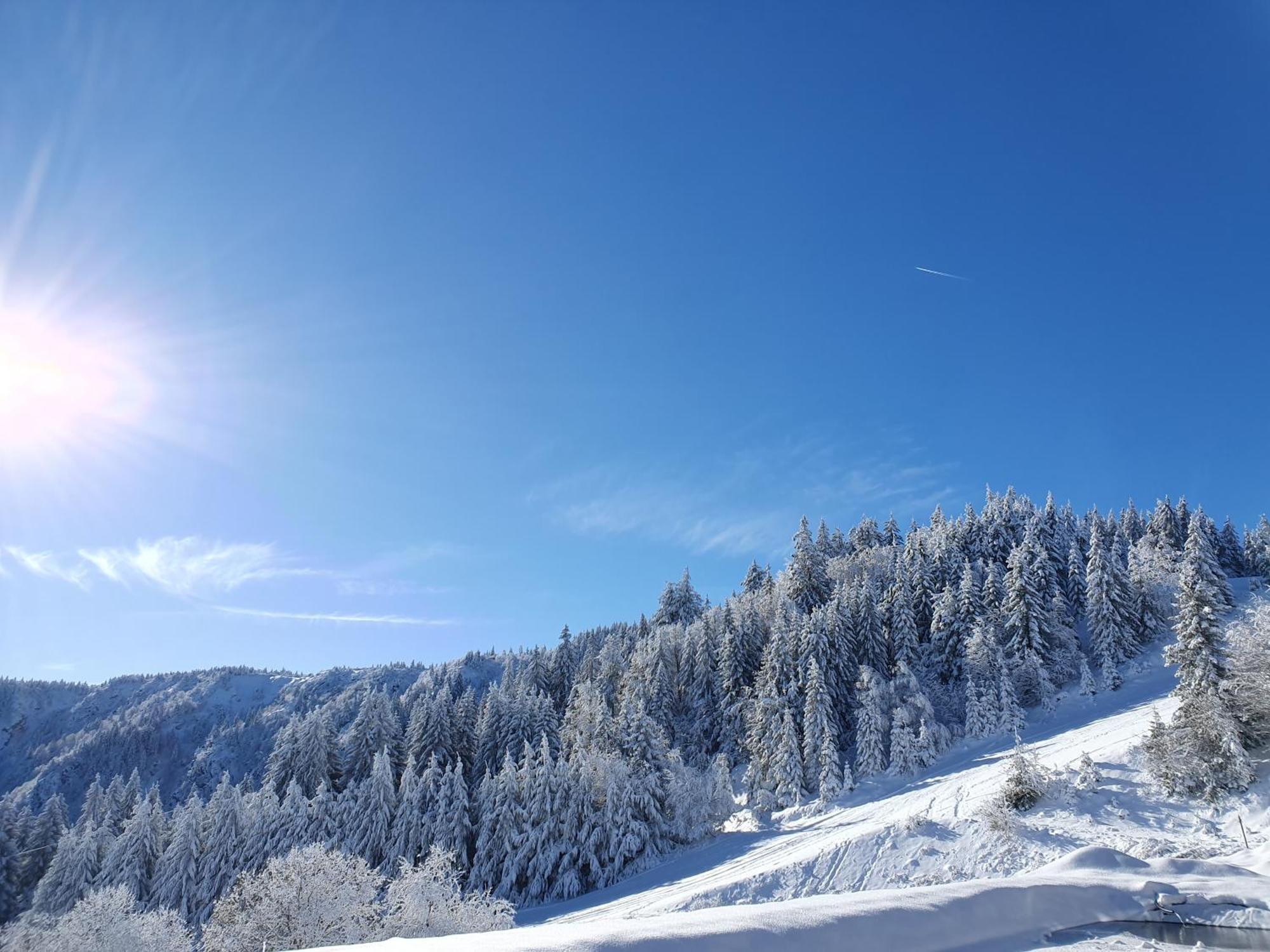 Agreable 3 Pieces Au Lac Blanc ออเบย์ ภายนอก รูปภาพ